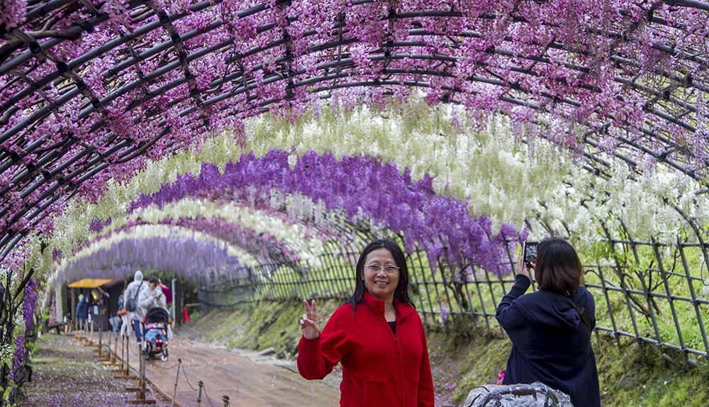 Day 1: Kawachi Fuji Garden & Miyajima