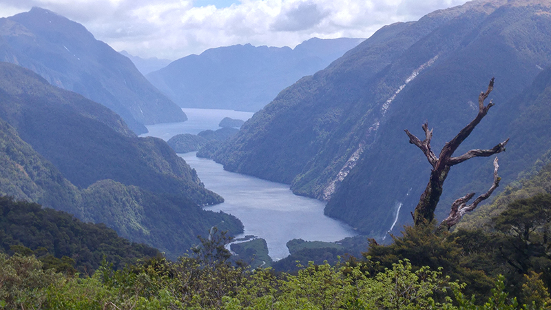 Day 10: Doubtful Sound (Fiordland)