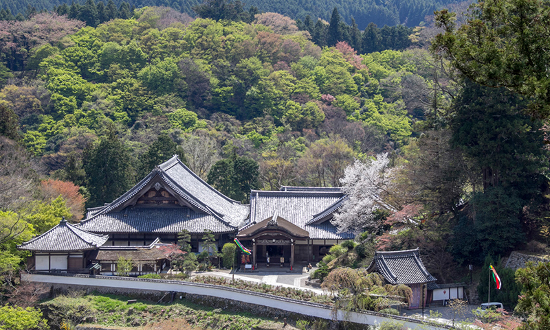 Day 5: Hasedera, Butsuryu-ji & Nara city