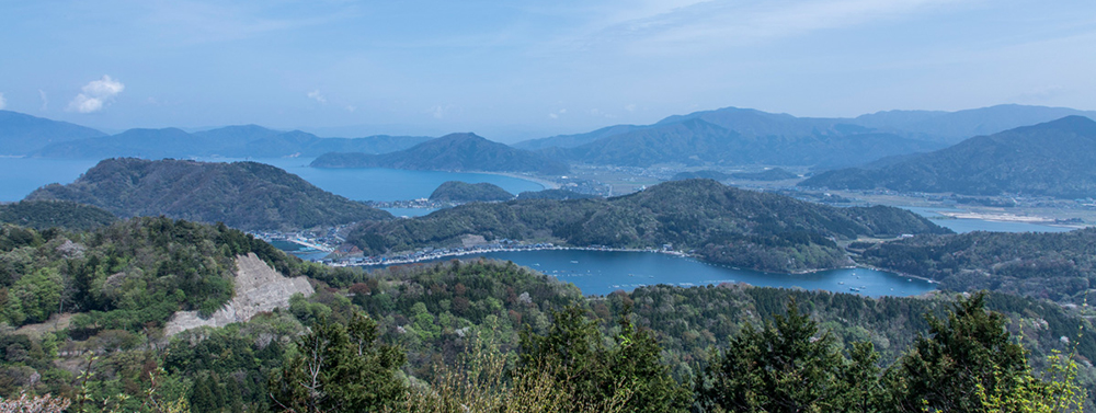 Day 9: Makino Metasequoia Walk, Mikata Five Lakes, Hikone Castle