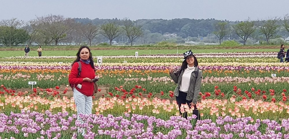 Day 14: Sakura City Tulip Park