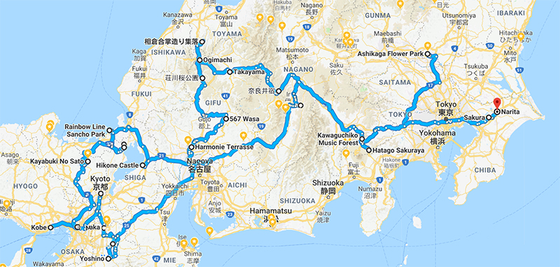 Chasing Japan Cherry Blossom Summed Up