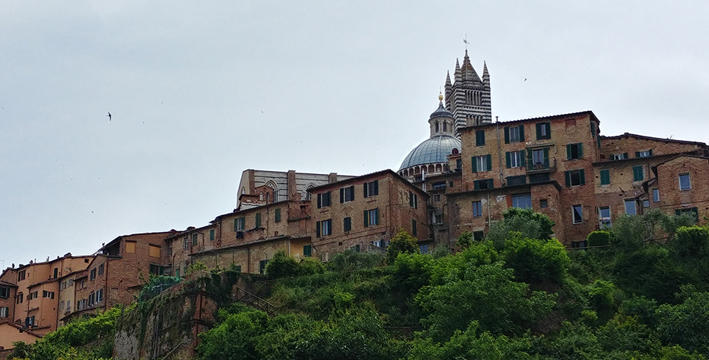 Day 11: Siena