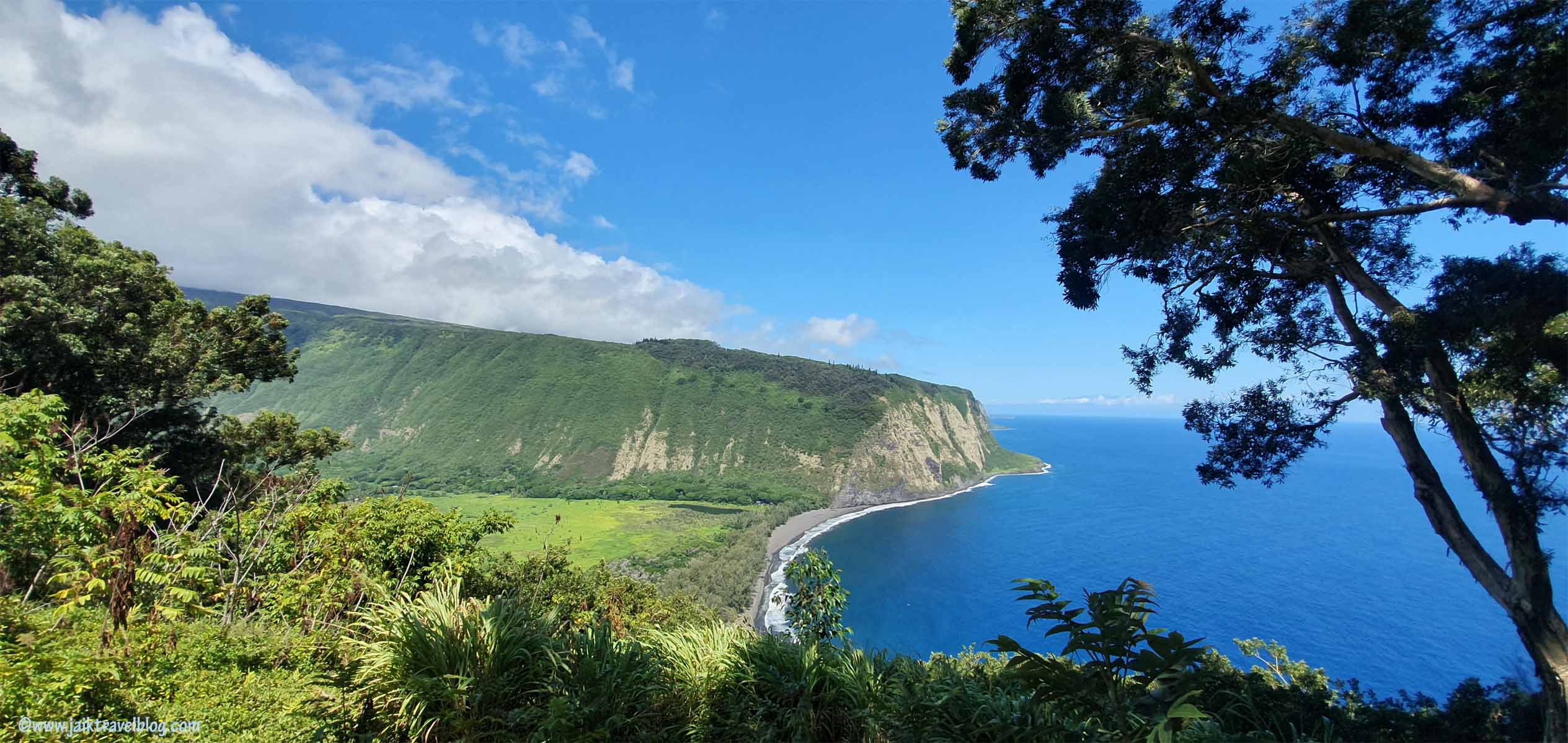 Week 4: Big Island