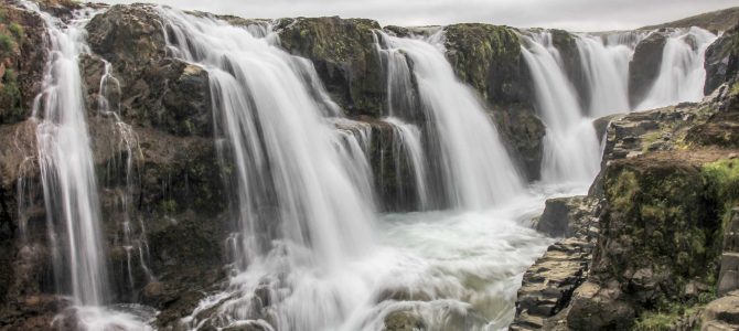 Day 17: Seal Watching, Kolugljufur Canyon & Holmavik