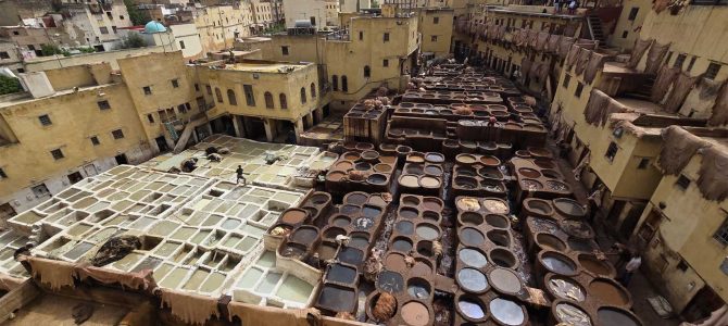 Day 8: Fez