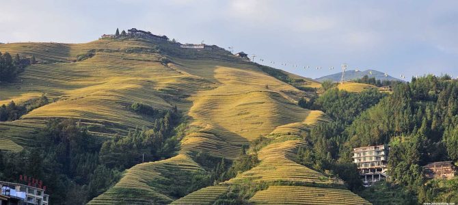 Day 3, 4, 5: LongJi Terrace field